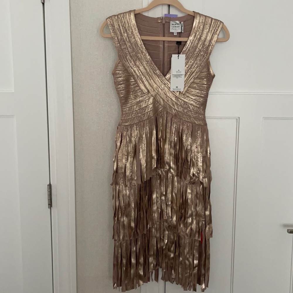 Herve Leger Dress